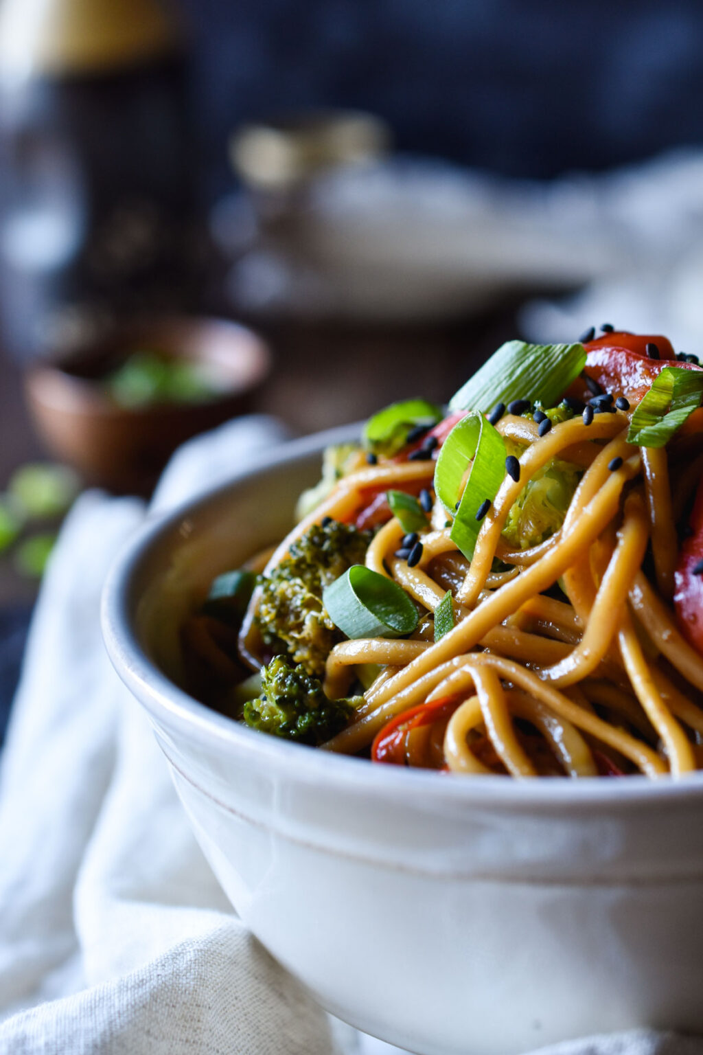 Easy Udon Noodle Vegetable Stir Fry - Avi Pie